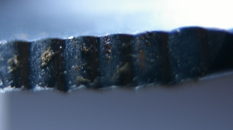macroscissor.jpg