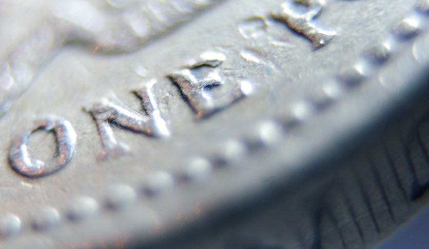 pound1.jpg